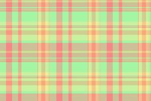 Pastel plaid pattern. Soft, springlike colors create a cheerful, versatile background ideal for websites, textiles, packaging, or scrapbooking projects. A timeless design with a modern feel. vector