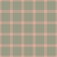 New york pattern check , sofa tartan seamless texture. Indian plaid fabric background textile in light and pastel colors. vector