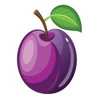 a purple plum fruit with leaf on it vector
