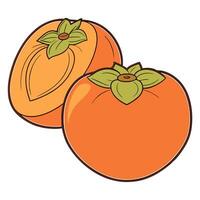 an orange and a persimmon fruit are shown vector