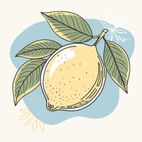 lemon illustration with leaves and fruit white background vector