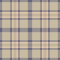 Ornament plaid check tartan, graphic seamless fabric. Hotel textile background texture pattern in pastel and grey colors. vector