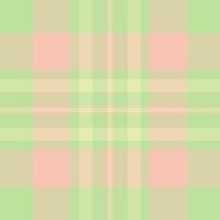 Pastel plaid pattern, soft and calming texture. Ideal for backgrounds, textiles, and website design. Evokes feelings of serenity and gentleness. A versatile image for various creative projects. vector