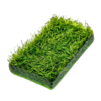 Lush Green Grass Patch with Realistic Texture png