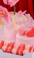 Heath Shapes Macaron Series fo Valentines Days photo