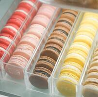 Colorful Macaron Lines Inside The Box photo