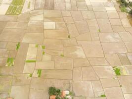 Aerial Shot of unplanted square rice fields. Rice fields are flooded with water to loosen the soil, view from above. Idylic agricultural fields. Drone photography concepts. Negative space photo