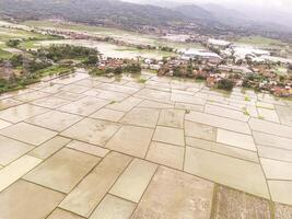 Aerial view of unplanted square rice fields. Rice fields are flooded with water to loosen the soil, view from above. Idylic agricultural fields. Drone photography concepts. Negative space photo