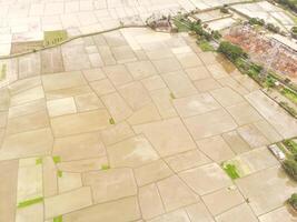 View of unplanted square rice fields. Rice fields are flooded with water to loosen the soil, view from above. Idylic agricultural fields. Drone photography concepts. Negative space photo