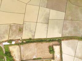 Aerial view of unplanted square rice fields. Rice fields are flooded with water to loosen the soil, view from above. Idylic agricultural fields. Drone photography concepts. photo