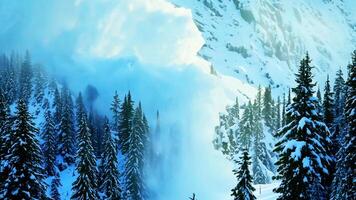 Big alpine snow avalanche moving down mountain slop with huge splashes of snow and causing destruction and death. photo
