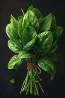 A bunch of spinach leaves on a black background photo