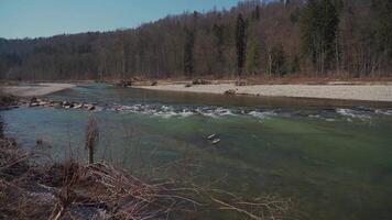 Beautiful view of Isar River on sunny spring day near Munich. Nature, forest and mountain river Isar in Germany. Fluss Izar. landscape by river Isar by Munchen. Wilderness and clear mountain river. video