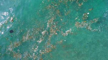 Plastic pollution floating on ocean surface. Aerial view of plastic trash in Bali video