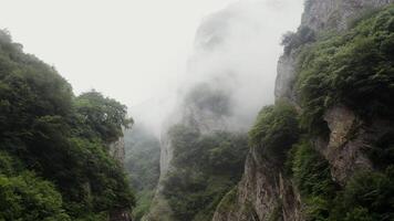A river is flowing through a narrow gorge photo