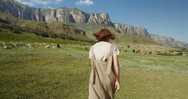A woman in a dress walking in a field with cows photo
