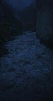 Mountain river, seething with a strong stream among the rocks, filming at night. Vertical photo