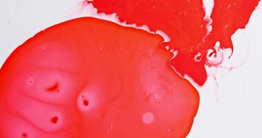 A red and white object with a white background photo
