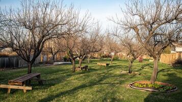 Serene Backyard Orchard Scene photo