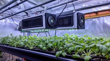Sophisticated Indoor Vertical Farming Setup photo
