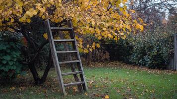 Rustic Wooden Ladder in Autumn Garden photo