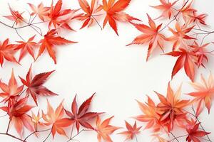 Autumn leaves frame on white background photo