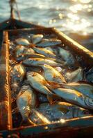A wooden boat filled with fish sitting on the ocean photo