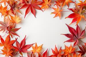 Autumn leaves frame on white background photo