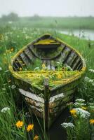 An old boat sits in a field of wildflowers photo