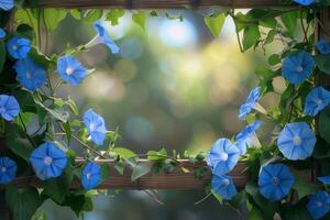 Blue flowers in a frame with a green background photo