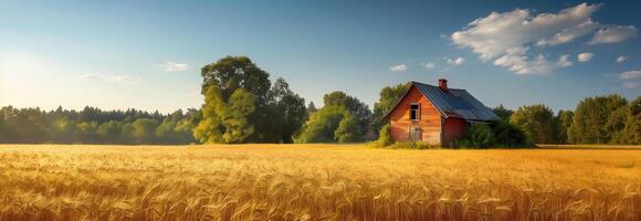 An old house in a field with trees and grass photo