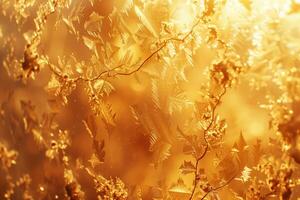 Golden leaves on a field of grass photo