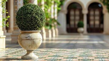 A large vase with a plant in it photo