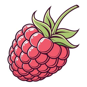 a raspberry shown on a white background vector