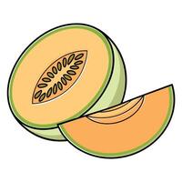 a melon is cut in half and has green leaf vector