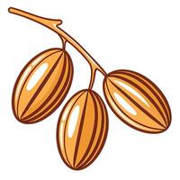 almond nuts on a branch illustration vector