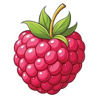 a raspberry is shown in cartoon style vector