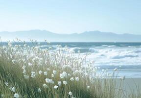 Coastal Flowers at Seashore with Distant Mountains photo