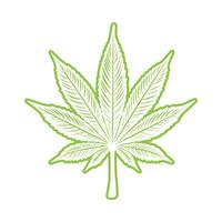 Thin Line Light Green Cannabis Leaf on White Background vector
