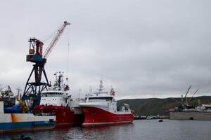 Industrial Harbor showcasing two Red Ships Docked side by side near Large crane. Overcast cloudy sky at backdrop,industrial buildings, more ships, and distant hills, a bustling maritime setting photo