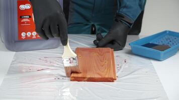 Applying Fire Retardant Coating to Enhance Safety Measures in Various Environments and Structures. Creative video