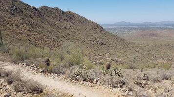 View from Running on a Desert Trail near Apache Junction, Arizona photo