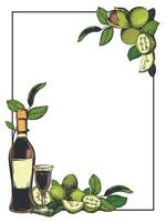 Vertical rectangular frame with a bottle of Italian liqueur Nocino, a shot glass. walnut in color engraving technique. Unripe walnut seeds whole and halves, leaves and branches. Linear sketch. vector
