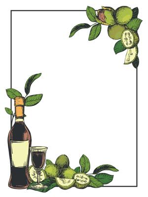 Vertical rectangular frame with a bottle of Italian liqueur Nocino, a shot glass. walnut in color engraving technique. Unripe walnut seeds whole and halves, leaves and branches. Linear sketch.