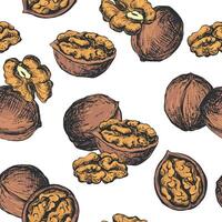 seamless pattern of walnuts. Background of open walnut kernel and whole walnut. Design for wallpaper, packaging, textile. Black and white sketch isolated on white background. Engraving style. vector