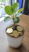 Small Plant Growing From Gold Coins in Speckled Pot photo