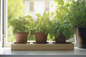 Sunlit Herbs in Terracotta Pots on Wooden Planter photo