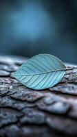 Teal Leaf on Dark Bark photo