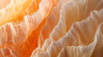 A close up of a flower with a lot of white and orange photo