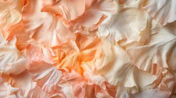 A close up of a bunch of orange and pink flowers photo
